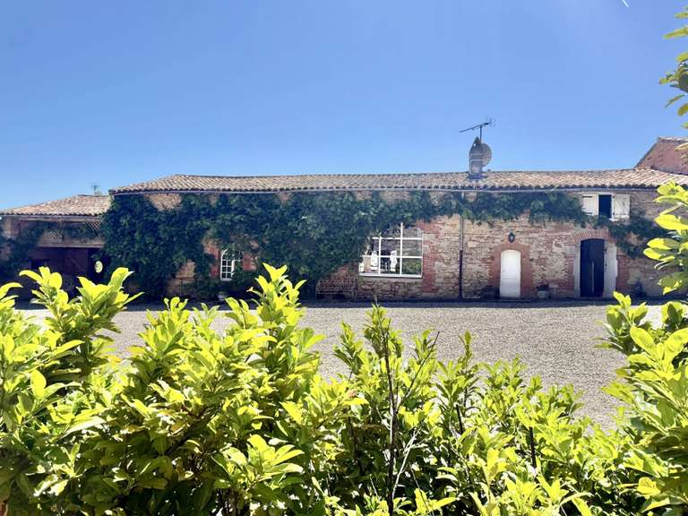 Maison Toulouse - 12 chambres - 600m²