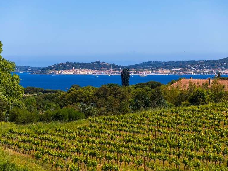 Maison Grimaud - 6 chambres - 334m²
