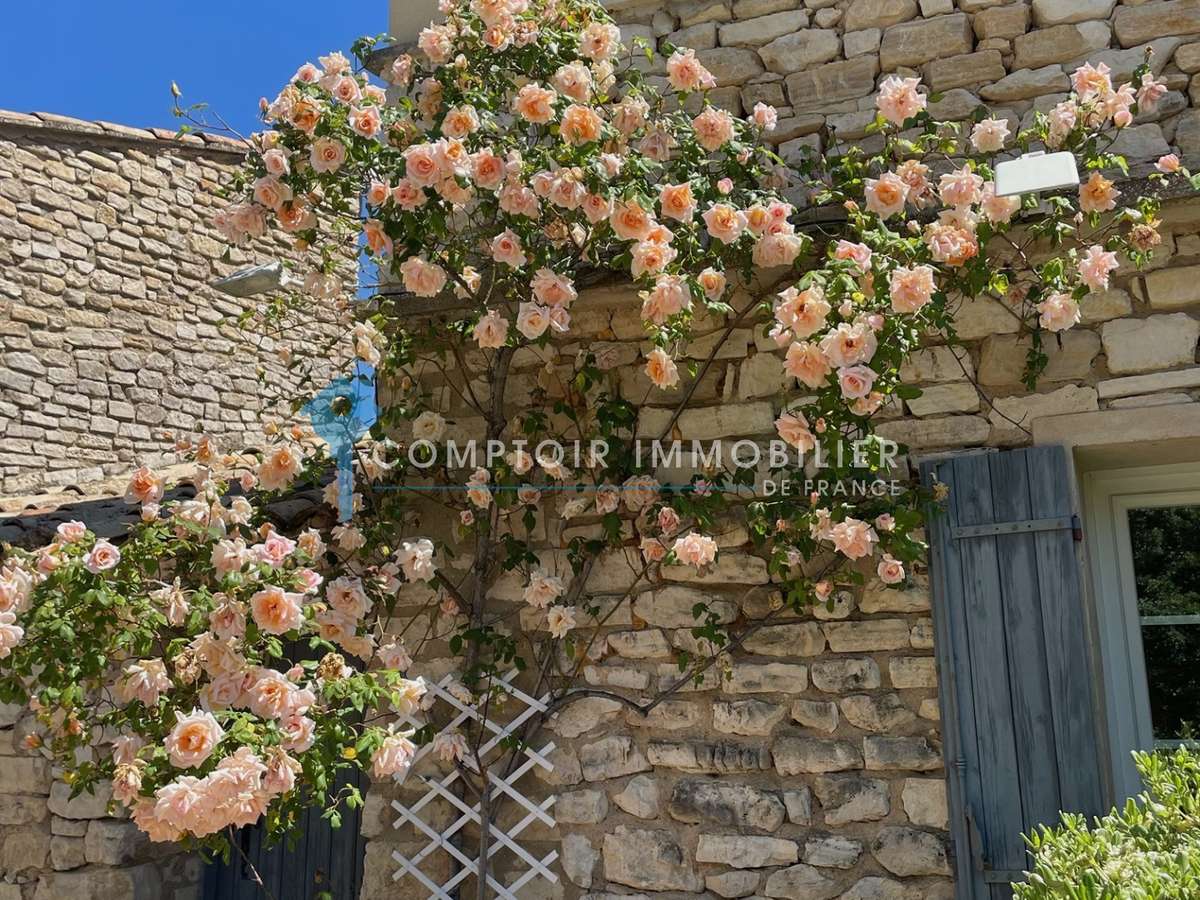 Maison Murs