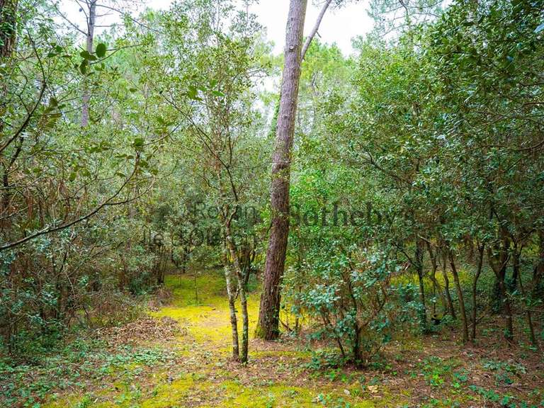 Terrain Les Mathes - 1550m²