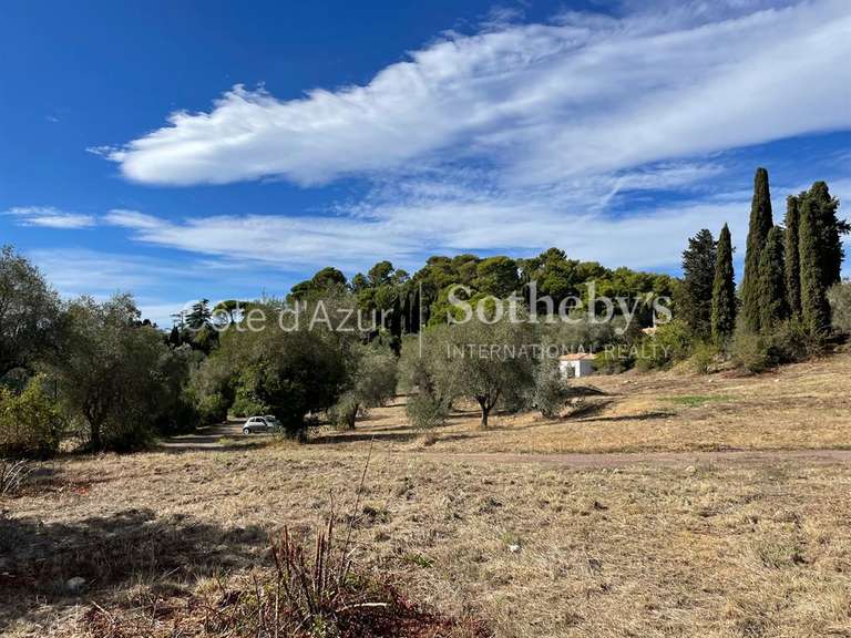 Terrain Mougins - 35233m²