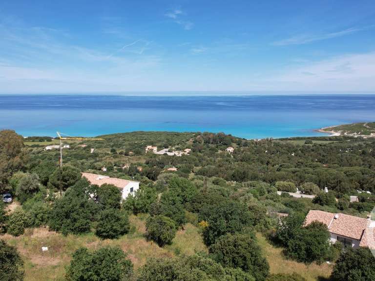 Terrain avec Vue sur mer Corbara - 3119m²