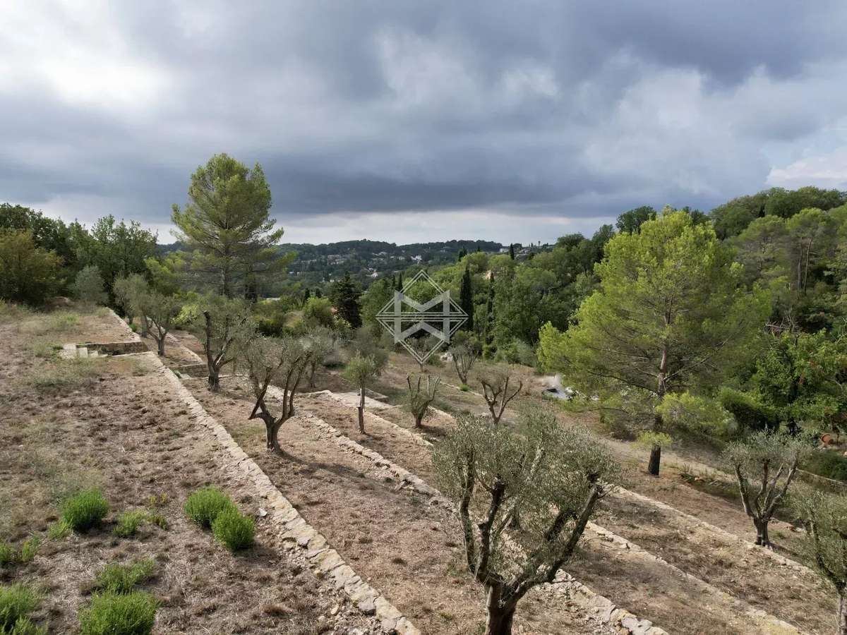 Terrain Opio