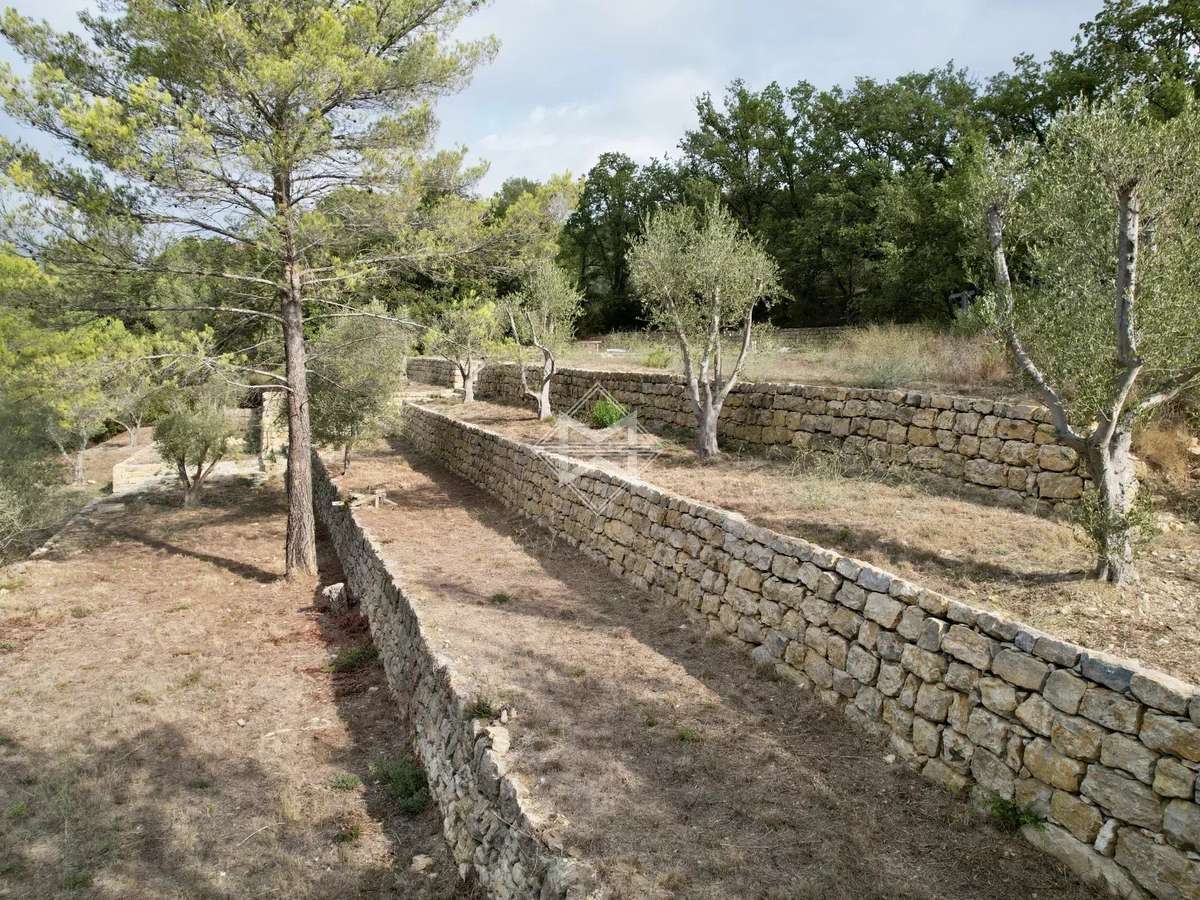 Terrain Opio