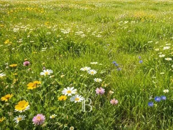 Terrain Grilly - 1200m²