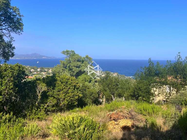 Terrain avec Vue sur mer Les issambres - 1826m²