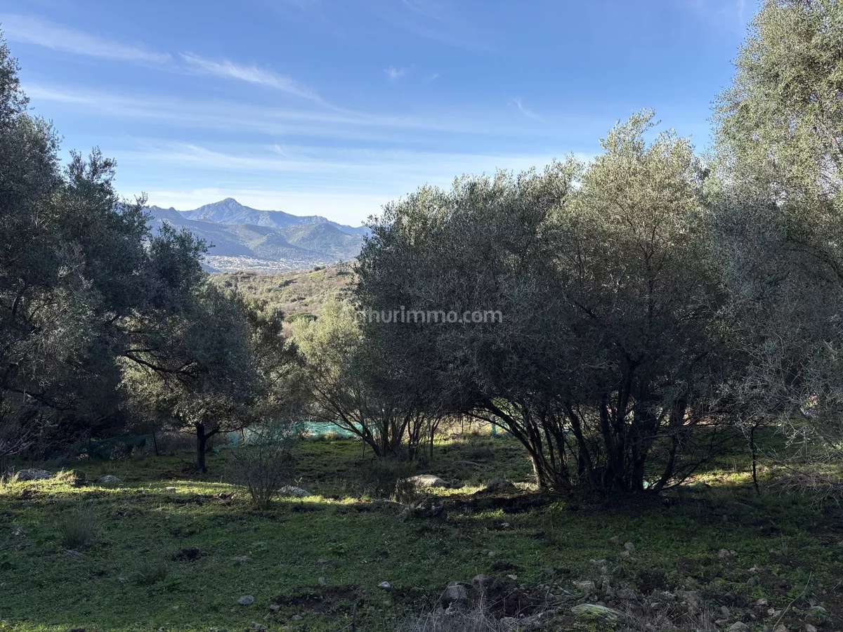 Terrain Montegrosso