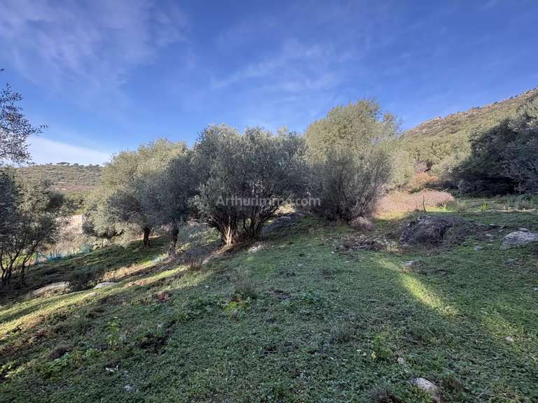 Terrain Montegrosso - 5040m²
