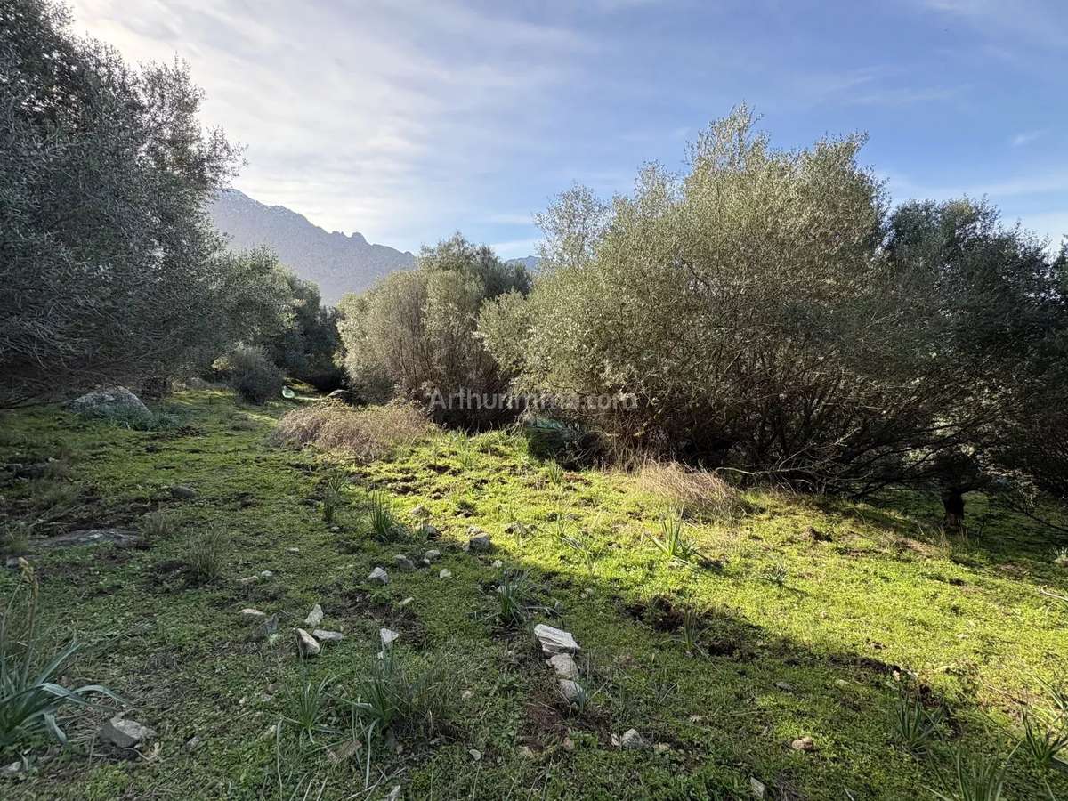 Terrain Montegrosso
