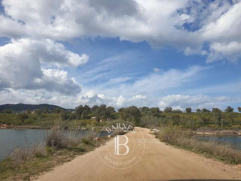 Terrain Zonza - 1659m²