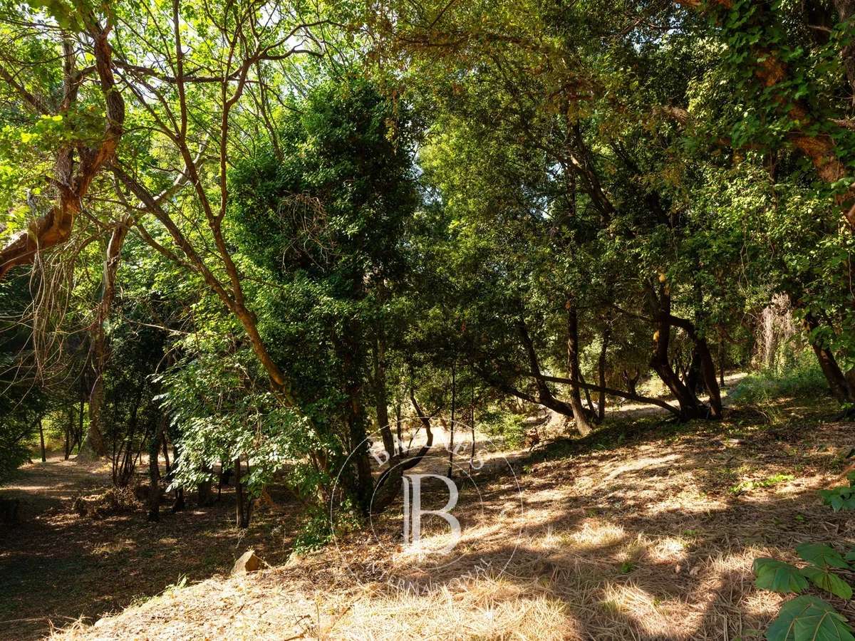 Terrain Bastia