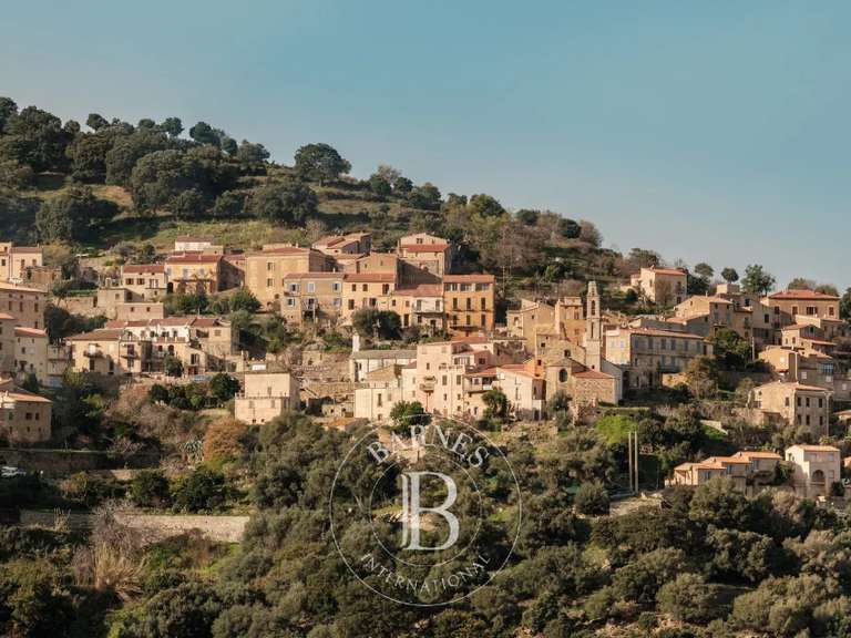 Terrain L'Île-Rousse - 4000m²