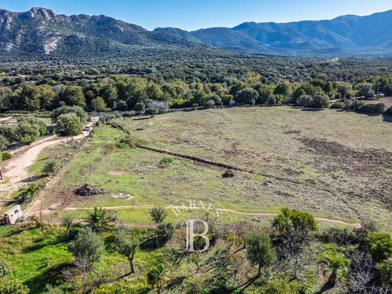 Terrain Pigna - 4000m²