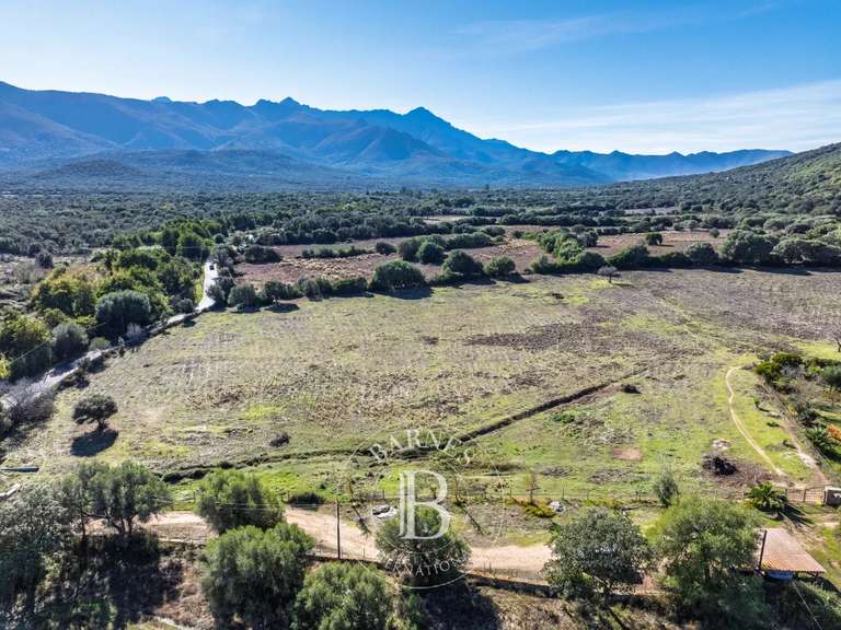 Terrain Pigna - 4000m²