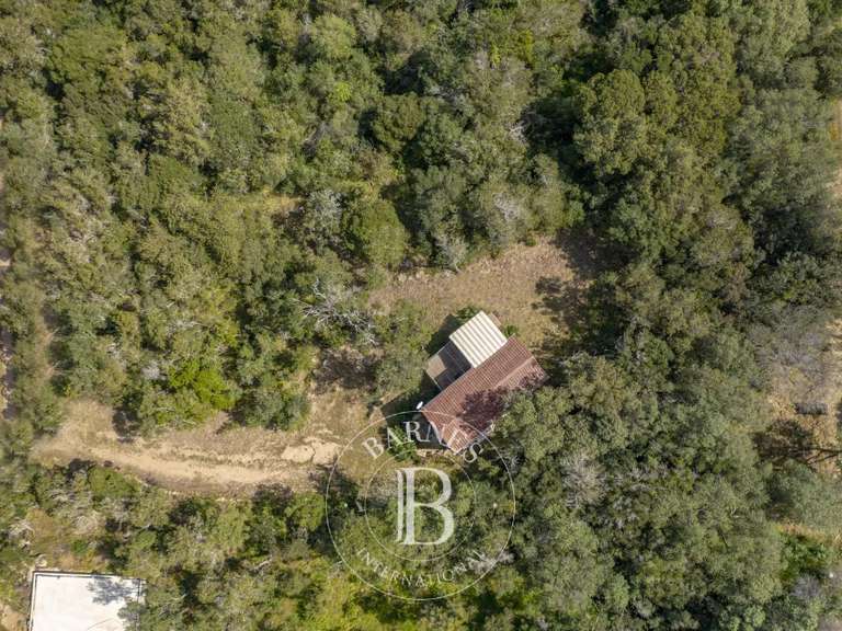 Terrain Porto-Vecchio - 2092m²