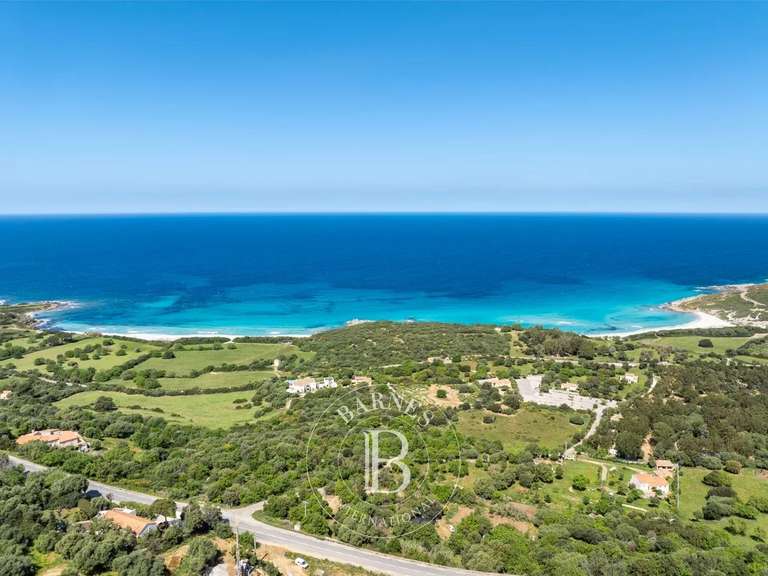 Terrain avec Vue sur mer Corbara - 1980m²