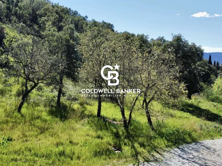 Terrain Grimaud - 6922m²