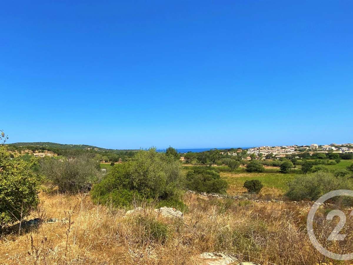 Terrain Lozari