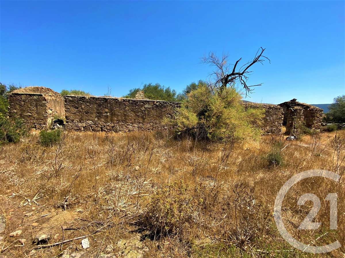 Terrain Lozari