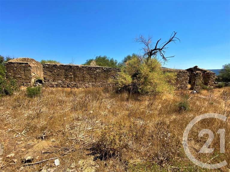 Terrain avec Vue sur mer Lozari - 5245m²