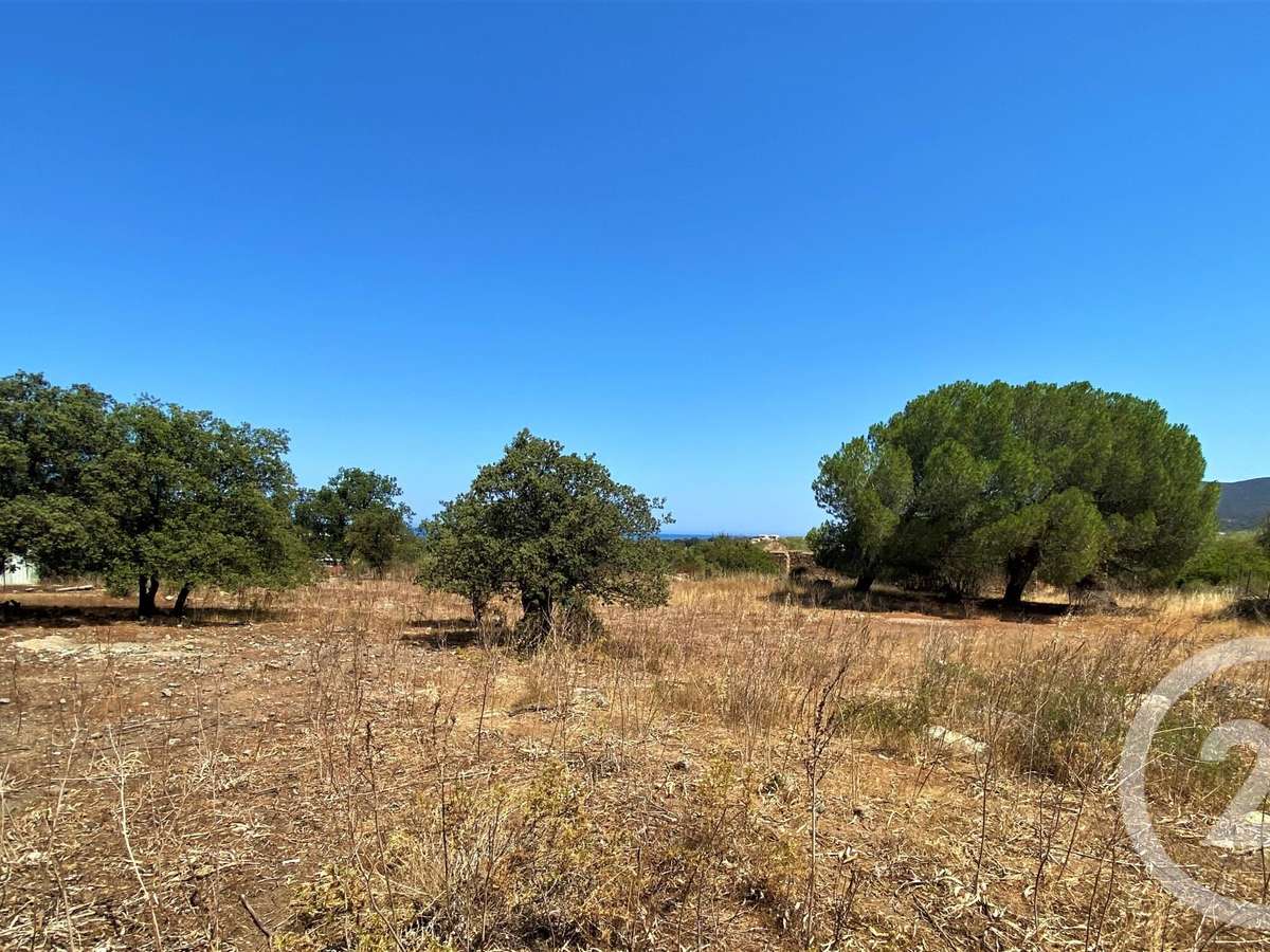 Terrain Lozari