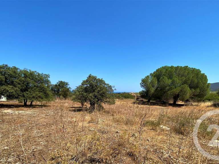 Terrain avec Vue sur mer Lozari - 5245m²