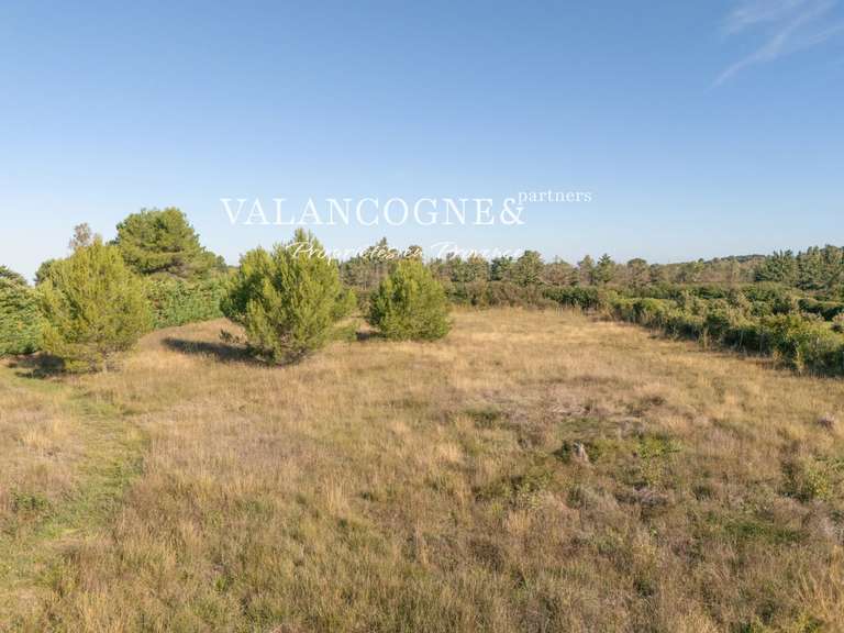 Terrain Eygalières - 4578m²