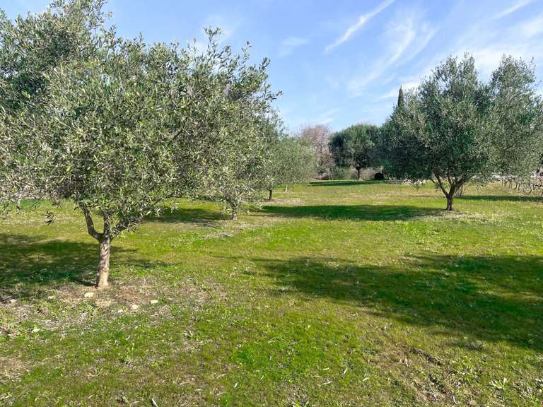 Terrain Uzès - 4650m²