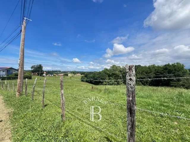 Terrain Arbonne