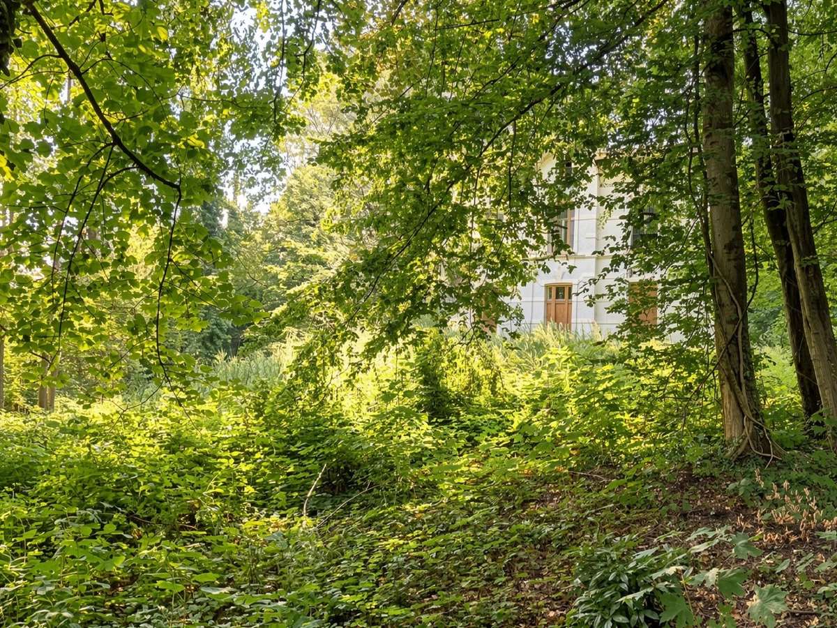 Terrain Bruxelles (Uccle)