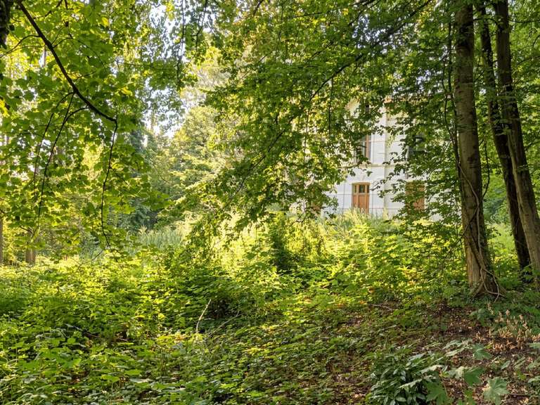 Terrain Bruxelles (Uccle) - 4 chambres - 500m²