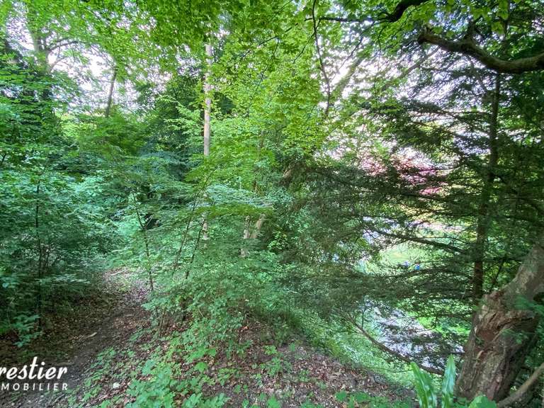 Property La Bouille - 5 bedrooms - 400m²