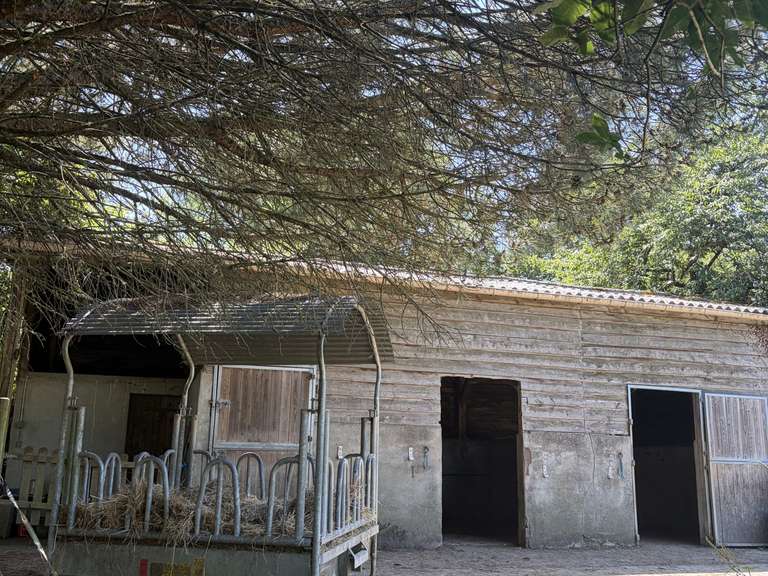 Propriété Palluau - 4 chambres - 194m²