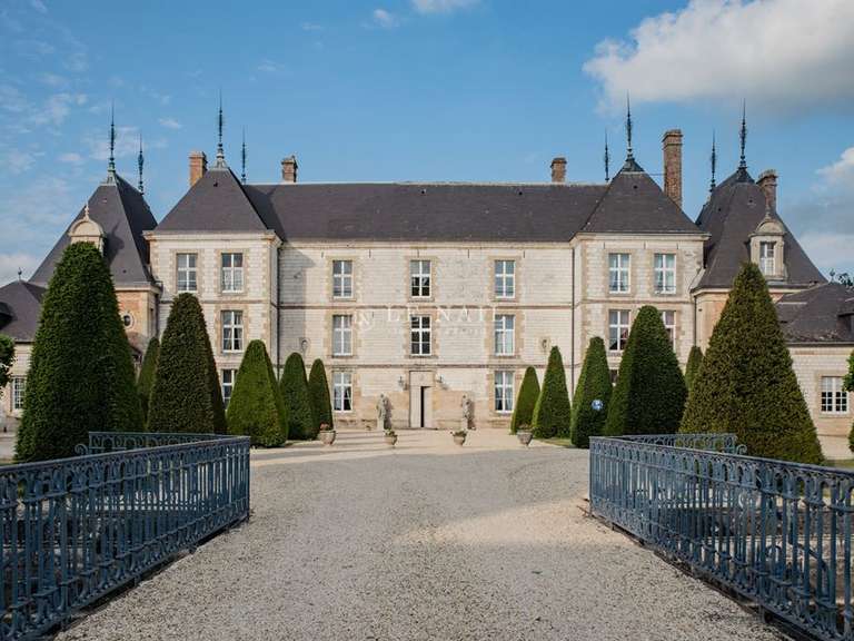 Castle Châlons-en-Champagne - 23 bedrooms - 1535m²