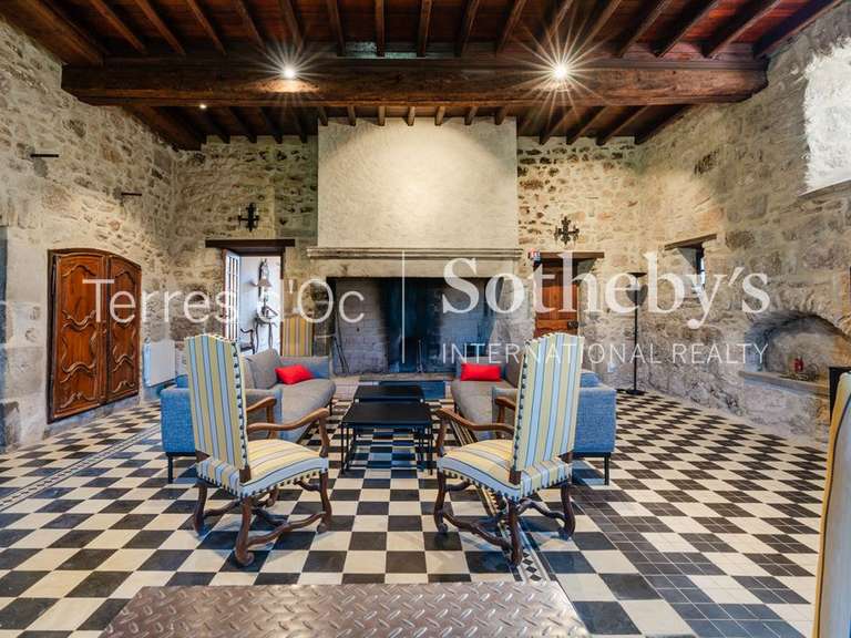 Château Carcassonne - 13 chambres - 1117m²