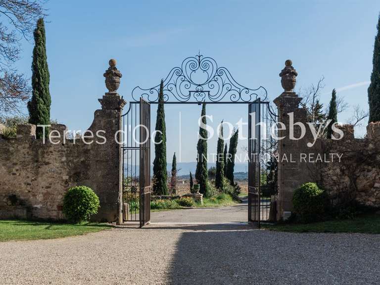 Château Carcassonne - 13 chambres - 1117m²