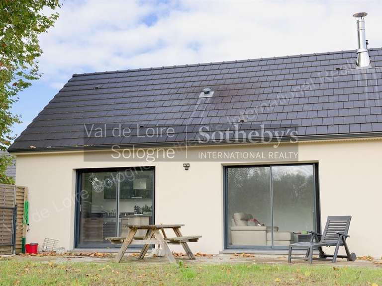 Maison Romorantin-Lanthenay - 8 chambres - 530m²