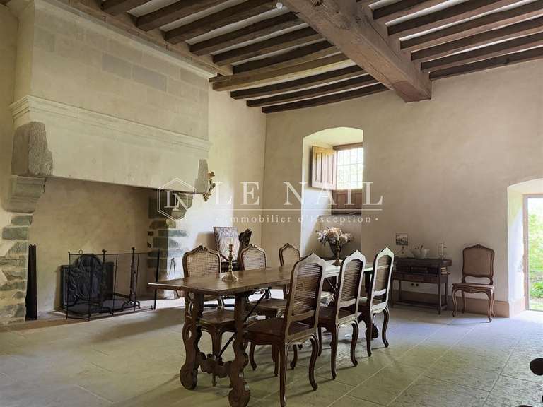 Manor Château-Gontier - 6 bedrooms - 470m²