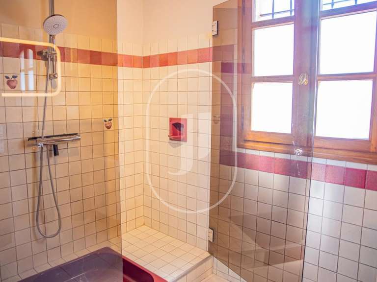 Maison Vaison-la-Romaine - 4 chambres - 243m²