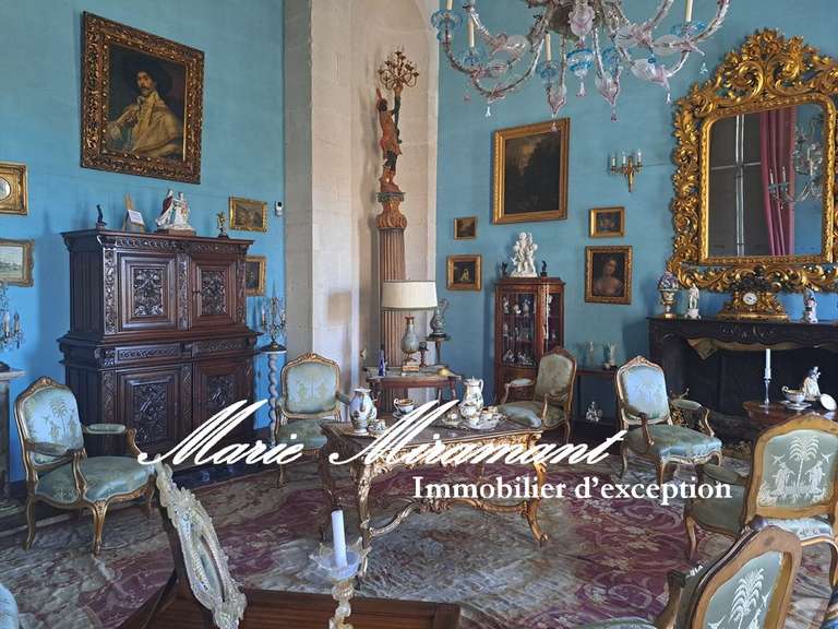Castle Aix-en-Provence - 11 bedrooms - 2200m²