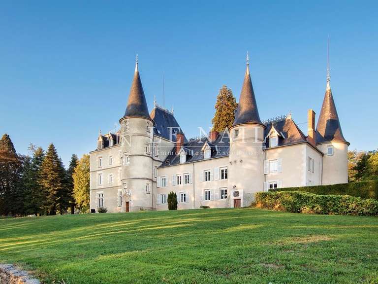 Château Vichy - 15 chambres - 1100m²