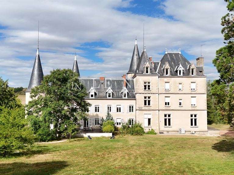 Château Vichy - 15 chambres - 1100m²