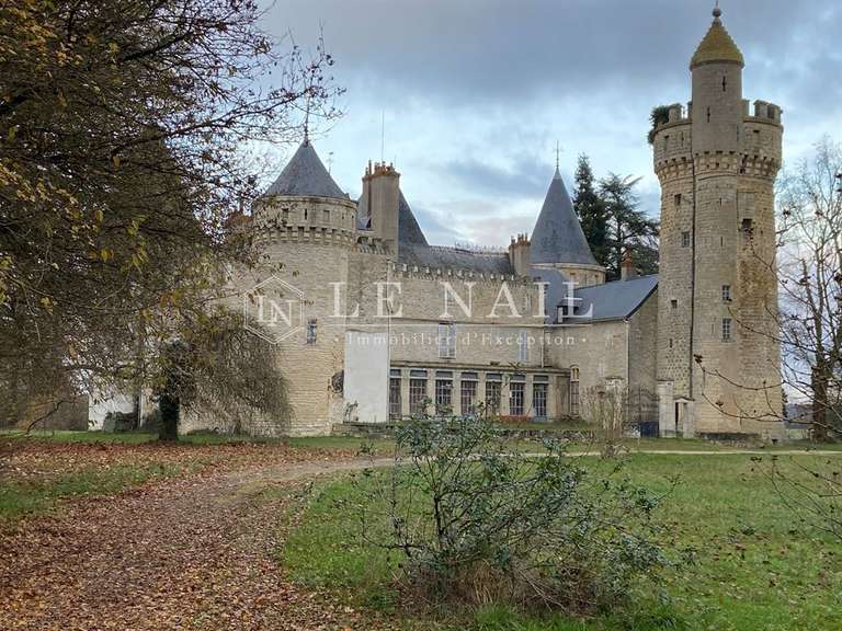 Castle Sancoins - 10 bedrooms - 870m²
