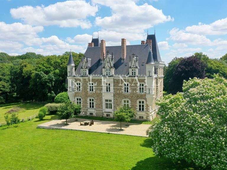 Castle Château-Gontier - 7 bedrooms - 700m²