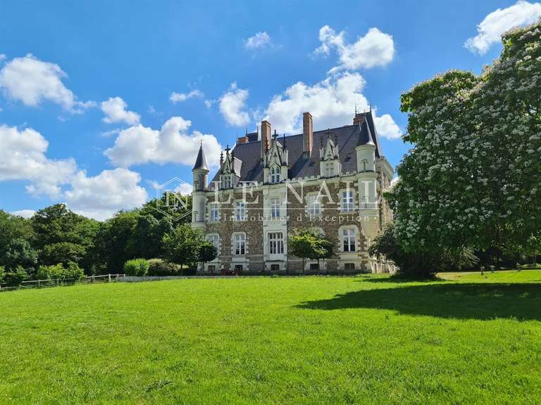 Castle Château-Gontier - 7 bedrooms - 700m²