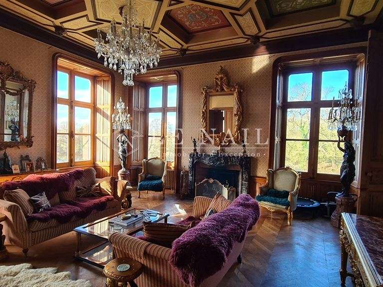 Castle Château-Gontier - 7 bedrooms - 700m²