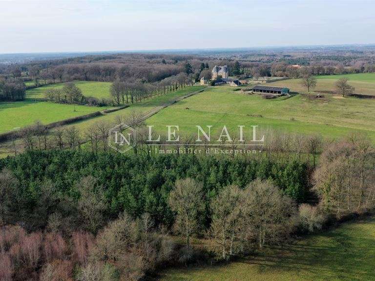 Château Le Mans - 19 chambres - 750m²