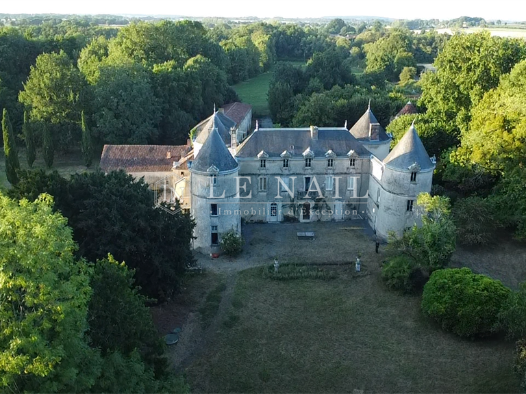Château Chantonnay - 11 chambres - 840m²