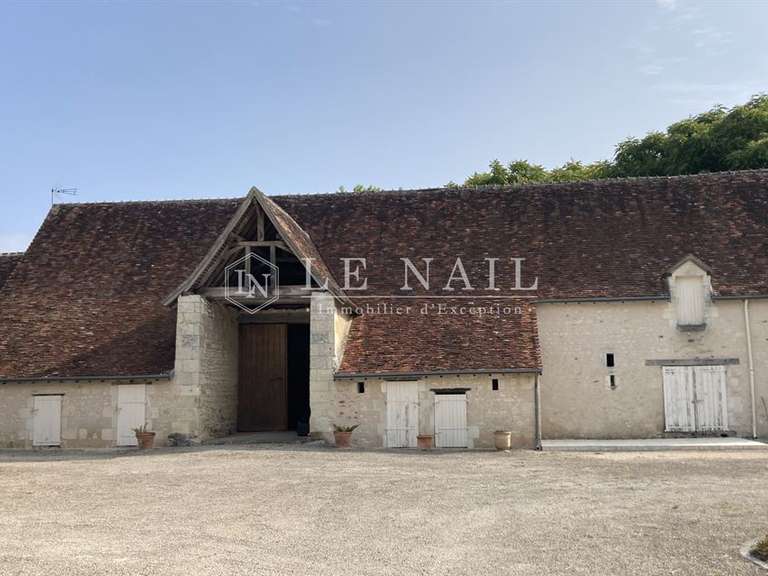Manor Azay-le-Ferron - 4 bedrooms - 180m²