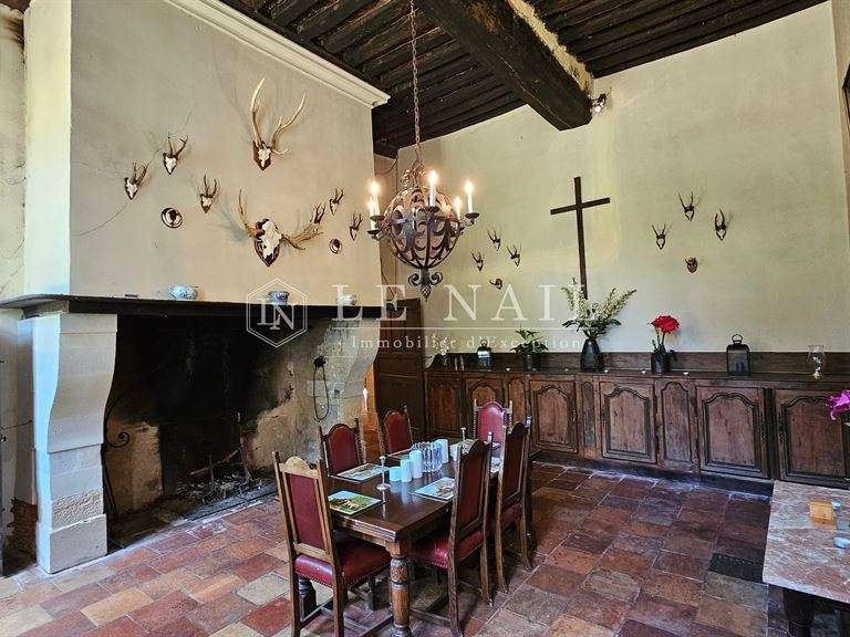 Château Sablé-sur-Sarthe - 9 chambres - 800m²